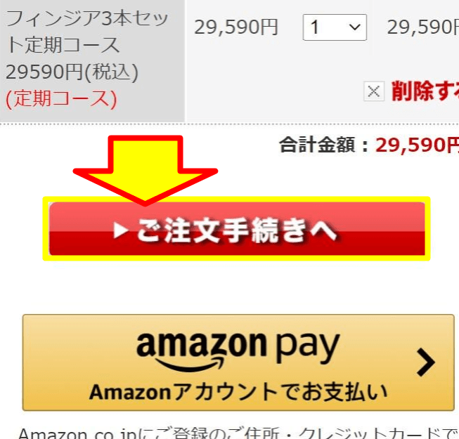 「ご注文手続きへ」のボタンが表示された公式サイト画面