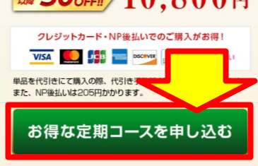 「お得な定期コースを申し込み」ボタンが表示された公式サイト画面