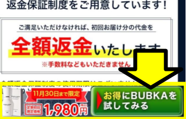「お得にBUBKAを試してみる」ボタンが表示された公式サイト画面